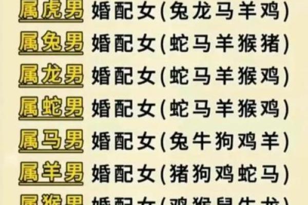 属牛三十八岁男性命理解析：智慧与坚韧的结合