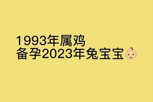 属兔与属鸡：命运的交织与人生的智慧
