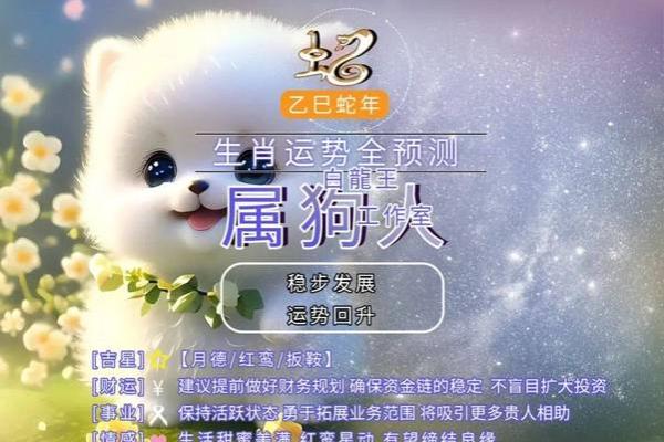 属狗人最佳命运月份及其影响分析