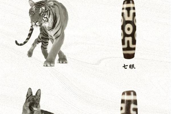 牛年转运：百命年如何借势而为，迎接财富与好运