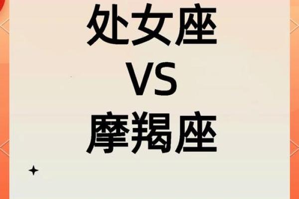 女火命与男水命的天作之合：命理学中的完美配对