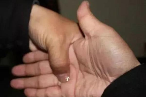 揭开子午双包，探索普通之命的神秘面纱