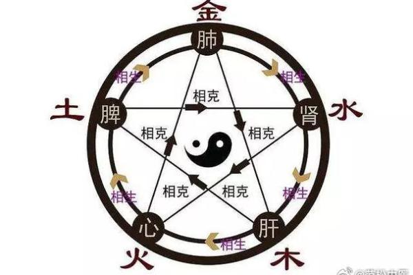 解读木命与海中金命:缺乏的颜色和如何补充能量 解读木命与海中金命:缺乏的颜色和如何补充能量