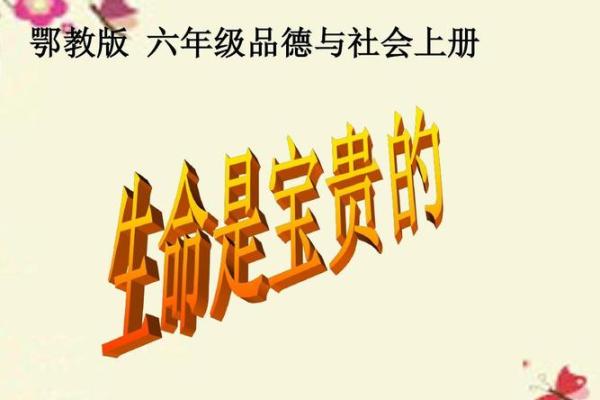 生命的传承：女儿命与妈妈命的深刻联系