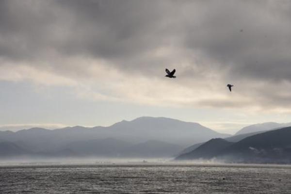 什么是海欧命?揭开海欧命的神秘面纱与命运解析 什么是海欧命?揭开海欧命的神秘面纱与命运解析