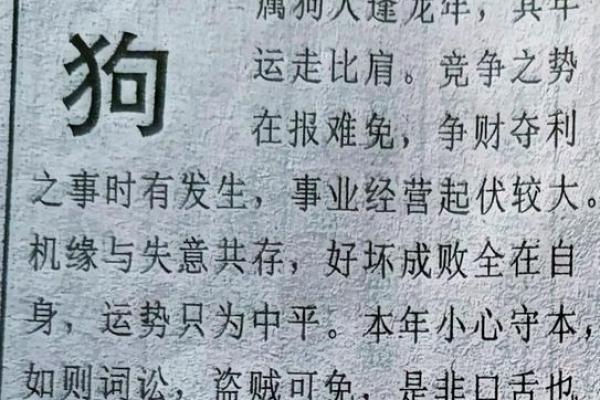 解析94年属狗人的命格:阳光普照下的忠诚与机遇 解析94年属狗人的命格:阳光普照下的忠诚与机遇