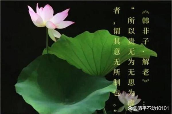 女人一生清闲命的深刻含义与生活哲学 女人一生清闲命的深刻含义与生活哲学