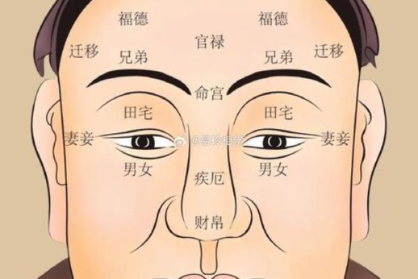 女断眉毛的人命运解析：神秘的面相与个性特征