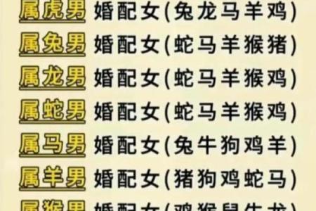 属牛三十八岁男性命理解析：智慧与坚韧的结合