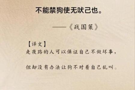 守护者：32画笔画的命理解析与人生智慧