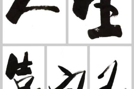 伤官之命：破茧成蝶的精彩人生旅程