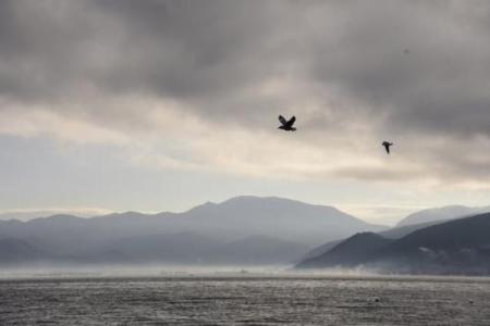 什么是海欧命？揭开海欧命的神秘面纱与命运解析