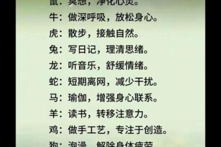 属鼠49岁后半生的命运特点与人生智慧探析