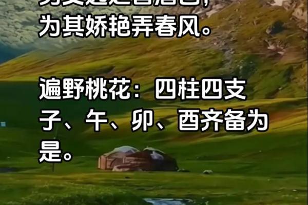 什么样的八字命带桃花？探索命运中的浪漫之缘！