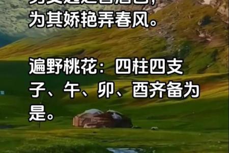 什么样的八字命带桃花？探索命运中的浪漫之缘！