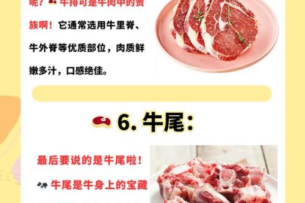 牛进食时辰与命运的秘密解析 牛进食时辰与命运的秘密解析
