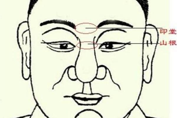 山根凸起的人生命运：揭开命理的神秘面纱