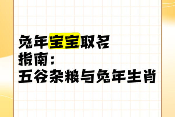 男宝兔吃草命：揭示兔年男孩的性格与命运