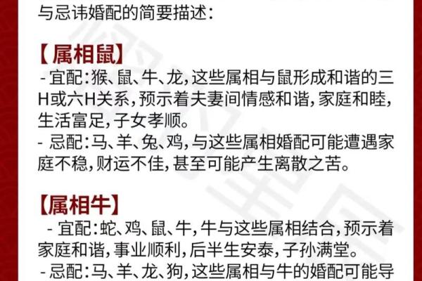 生肖与语命:探讨十二生肖的文化内涵与五行命理的关系 生肖与语命:探讨十二生肖的文化内涵与五行命理的关系
