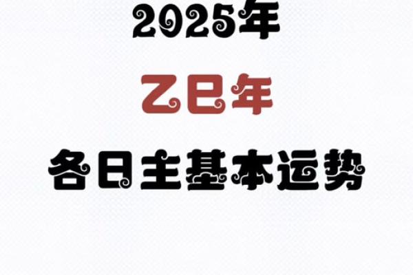 日柱水命的你，适合做什么工作和生活方式？揭秘成功之路！