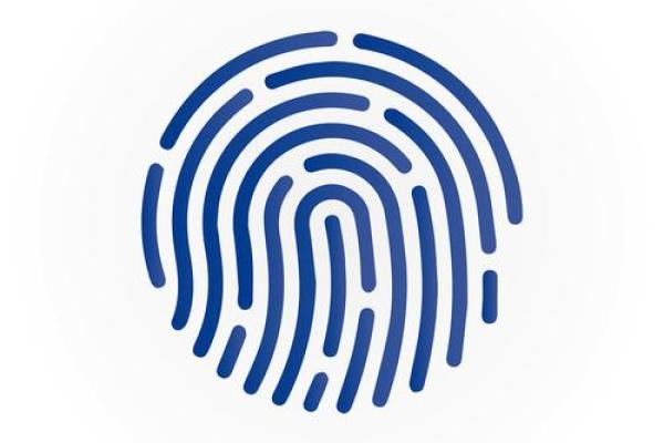 深入解析:指纹几何与命运密码的奇妙联系 深入解析:指纹几何与命运密码的奇妙联系