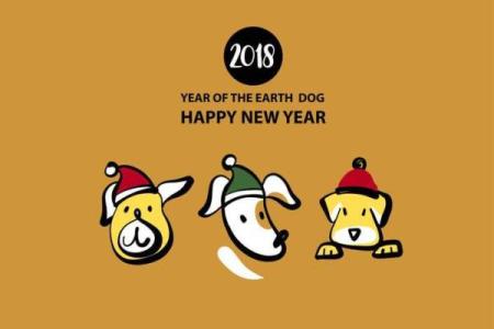 属猪的人五行与命运：如何化解不利影响，实现人生逆转？