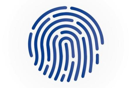 深入解析：指纹几何与命运密码的奇妙联系