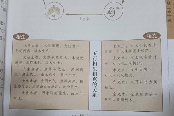 三四月出生的人五行命理解析:探寻生命之道与性格特征 三四月出生的人五行命理解析:探寻生命之道与性格特征