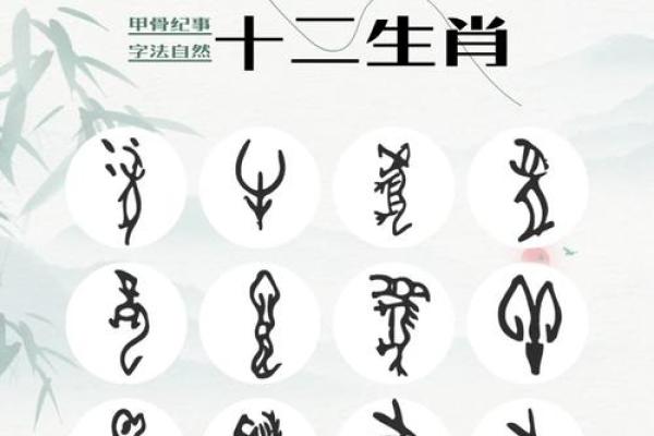 十二生肖女命解析:哪些特点让她们更具魅力与智慧? 十二生肖女命解析:哪些特点让她们更具魅力与智慧?