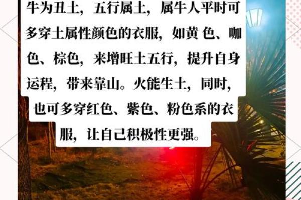 属牛过37岁后的命运解析：转变与机遇并存的旅程