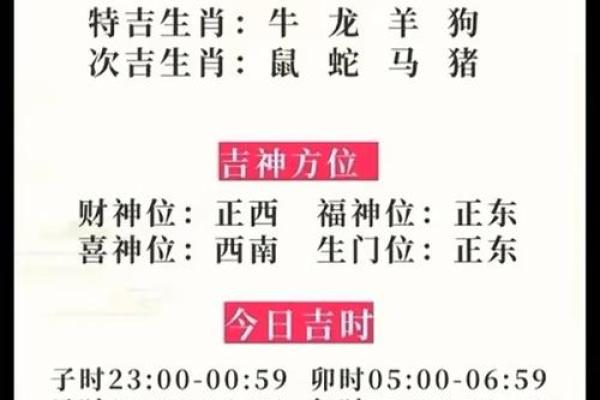 属蛇的五行命理分析：探秘神秘生肖的生活与运势之道