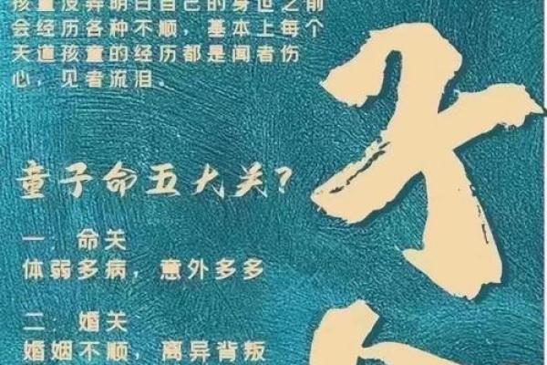 从命理看童子命与鼠年人的相克关系探秘