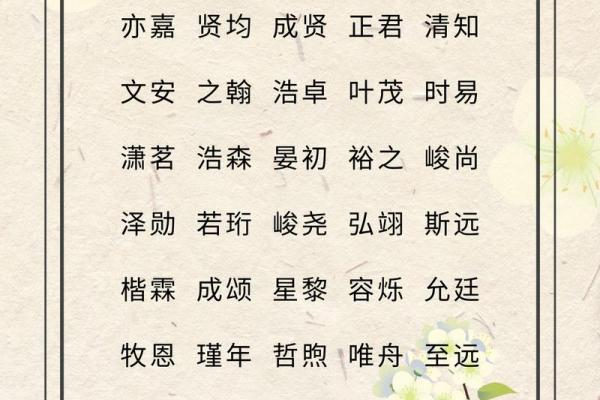 根据生辰年选择男孩名字，助其命运更顺遂的秘密探秘！