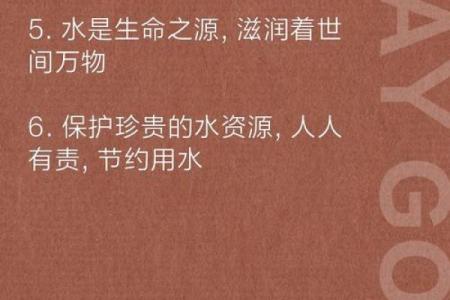 泉中水命：流淌不息的生命之源与智慧之泉