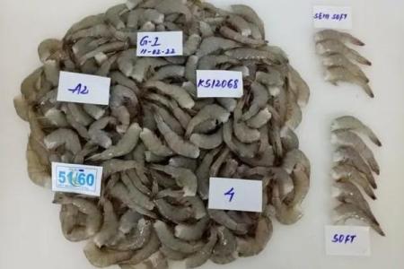 适合从事水产行业的人格特征与命理解析