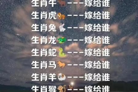 十二生肖女命解析：从生肖看女性的命运与性格