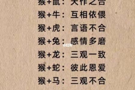 生肖女命解析：事业与婚姻的双丰收之路！