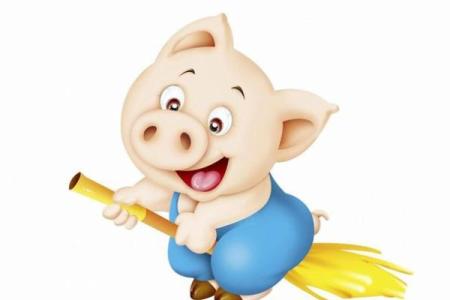 属猪金命之人缺什么？揭秘金命猪的命理特点与补救方案！