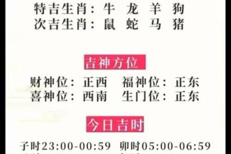 属蛇的五行命理分析：探秘神秘生肖的生活与运势之道