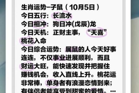 属鼠的人最适合的五行命：智慧与财富的最佳组合