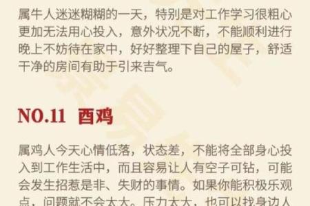 十月农历十月初八的命理解析与人生运势探秘