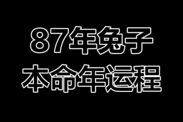 属兔1987年命运解析：开启幸福人生的钥匙