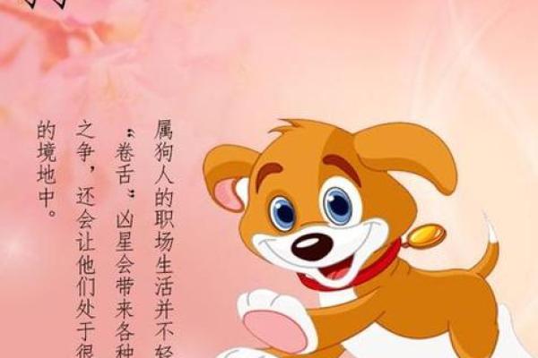 属狗人2023年71岁,命运解读与生活智慧 属狗人2023年71岁,命运解读与生活智慧