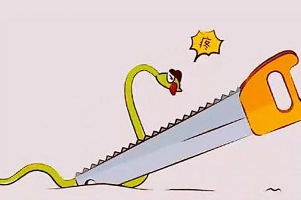 命字中的山头火对人生的启示与应用