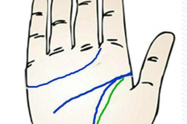 偏妃奶奶命的深层解析：你是否也在寻找属于自己的命理真谛？