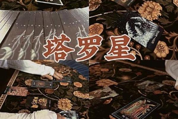 娘娘命与太太命:揭开女性命运的神秘面纱 娘娘命与太太命:揭开女性命运的神秘面纱