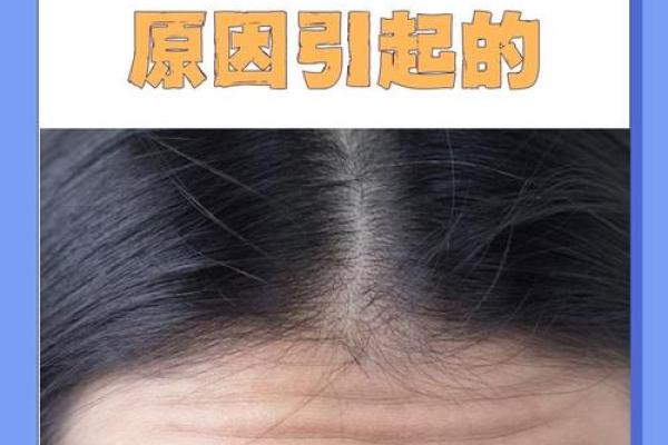 男人的抬头文:命运的象征与人生的启示 男人的抬头文:命运的象征与人生的启示