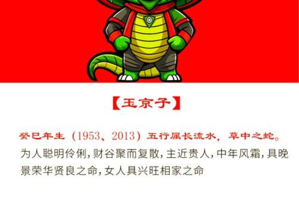 属相蛇的命格解析:智慧与魅力并存的人生之路 属相蛇的命格解析:智慧与魅力并存的人生之路