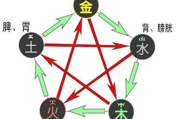 木命、水命、火命的独特解读与生活启示 木命、水命、火命的独特解读与生活启示