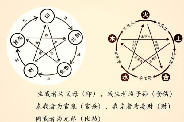 木命之道:探索木命与其生克关系的奥秘 木命之道:探索木命与其生克关系的奥秘